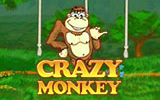 Игровой автомат Crazy Monkey